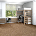 RIPPLE-EFFECT-J0116-ECHO-00201-room-image